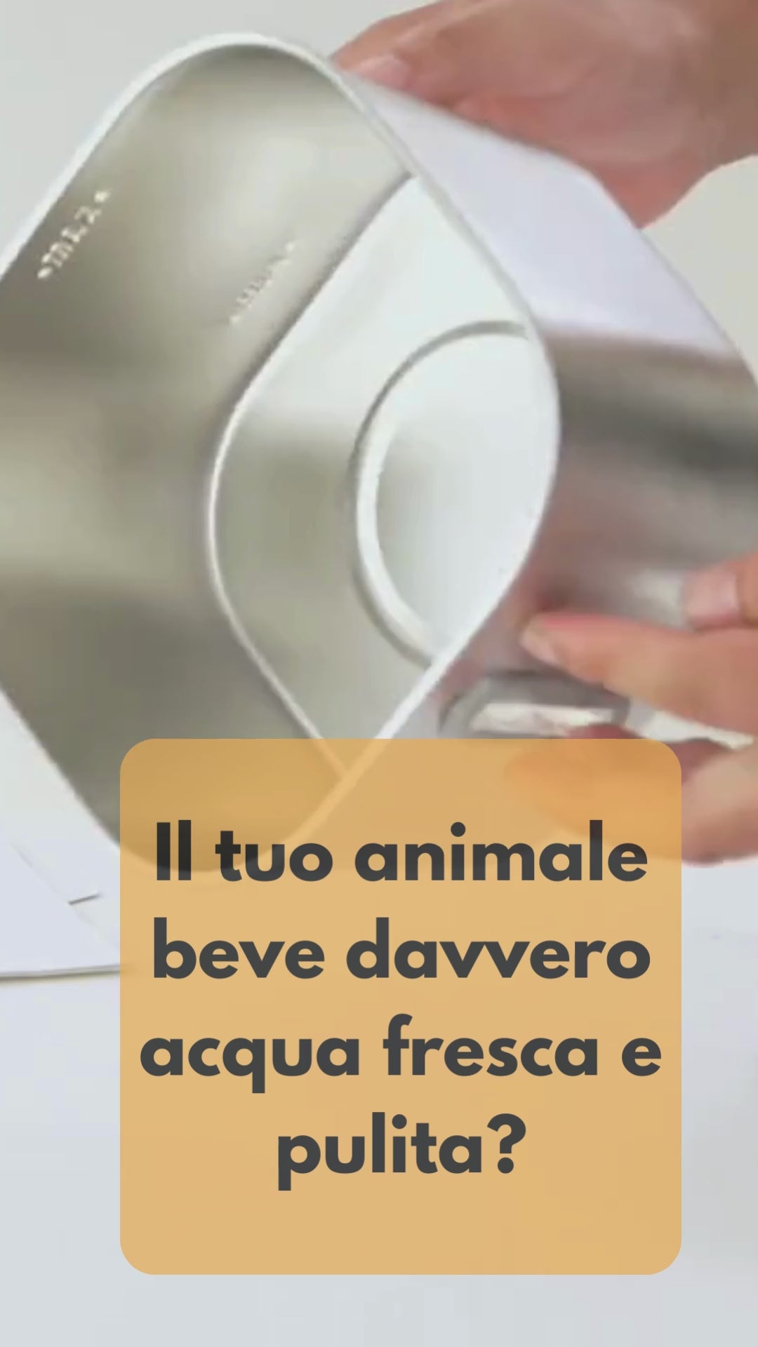 Fontana d'Acqua Intelligente